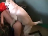 [ Pet XXX ] Girl Agrees to take experience of fuck by dog
